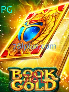 Descubra o Fascinante Jogo 'BookofGold'
